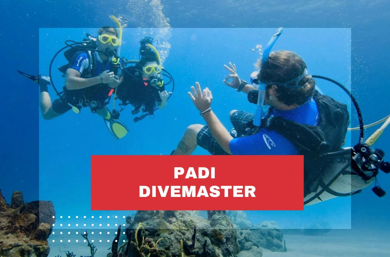 PADI Divemaster